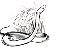 純米大吟醸 今代司 干支ラベル2025 巳