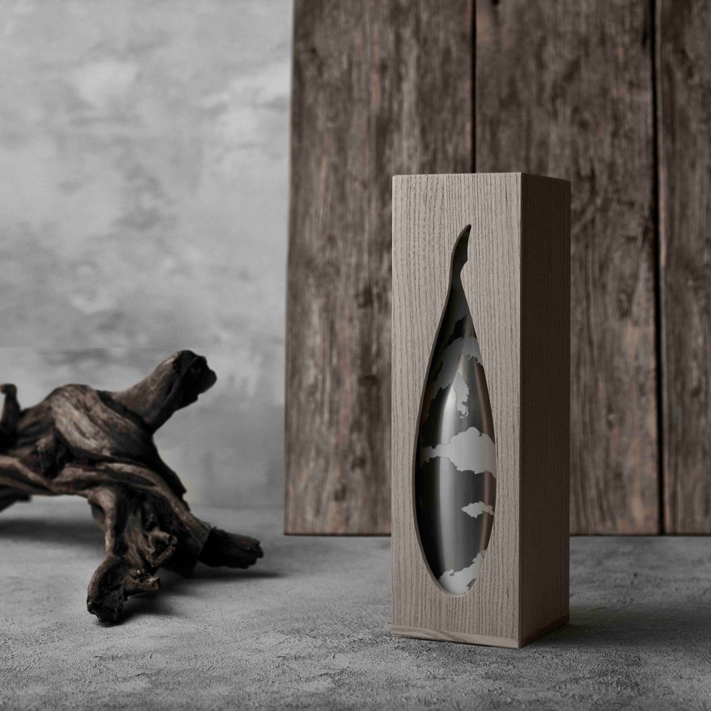 【おすすめ】錦鯉 白銀