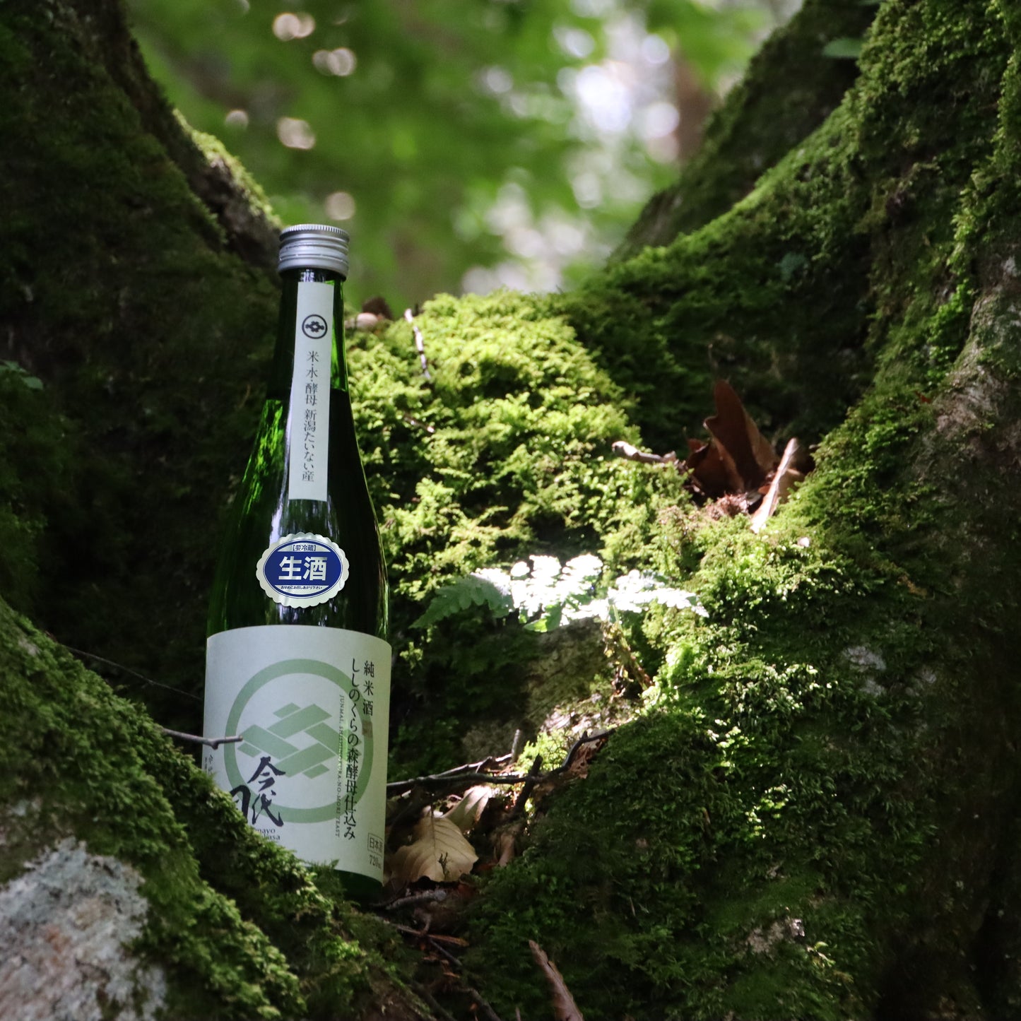 純米酒 今代司 ししのくらの森酵母仕込み 無濾過生原酒