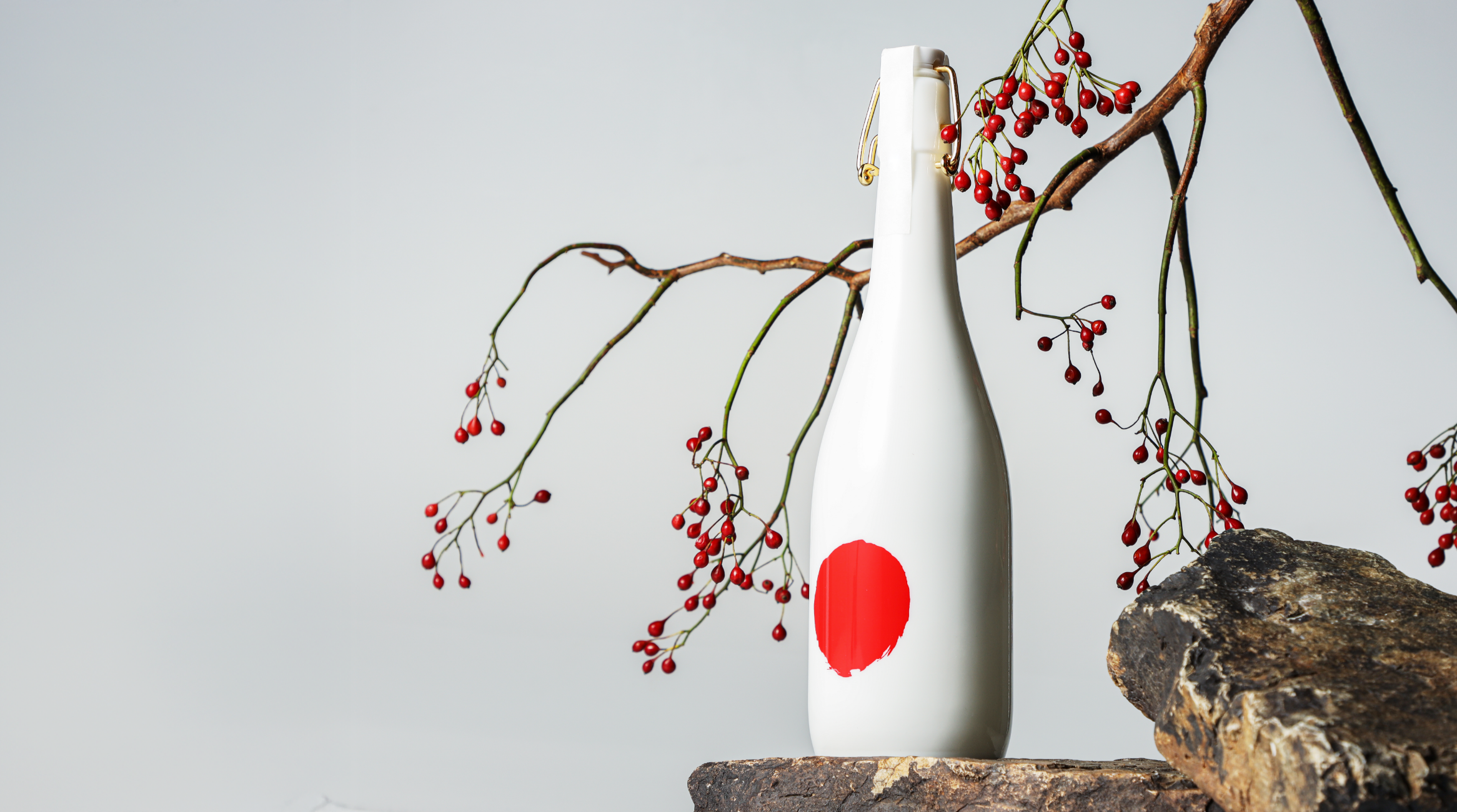 錦鯉 丹頂 KOI Tancho The RISING SUN