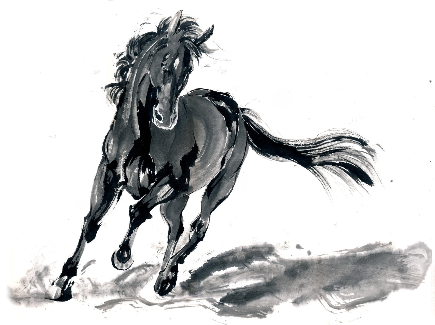 
                  
                    【11月7日よりお届け】純米大吟醸 今代司 干支ラベル2026 午 桐箱入り
                  
                