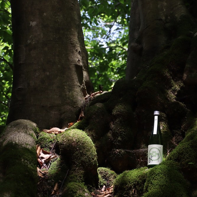 
                  
                    純米酒 今代司 ししのくらの森酵母仕込み
                  
                